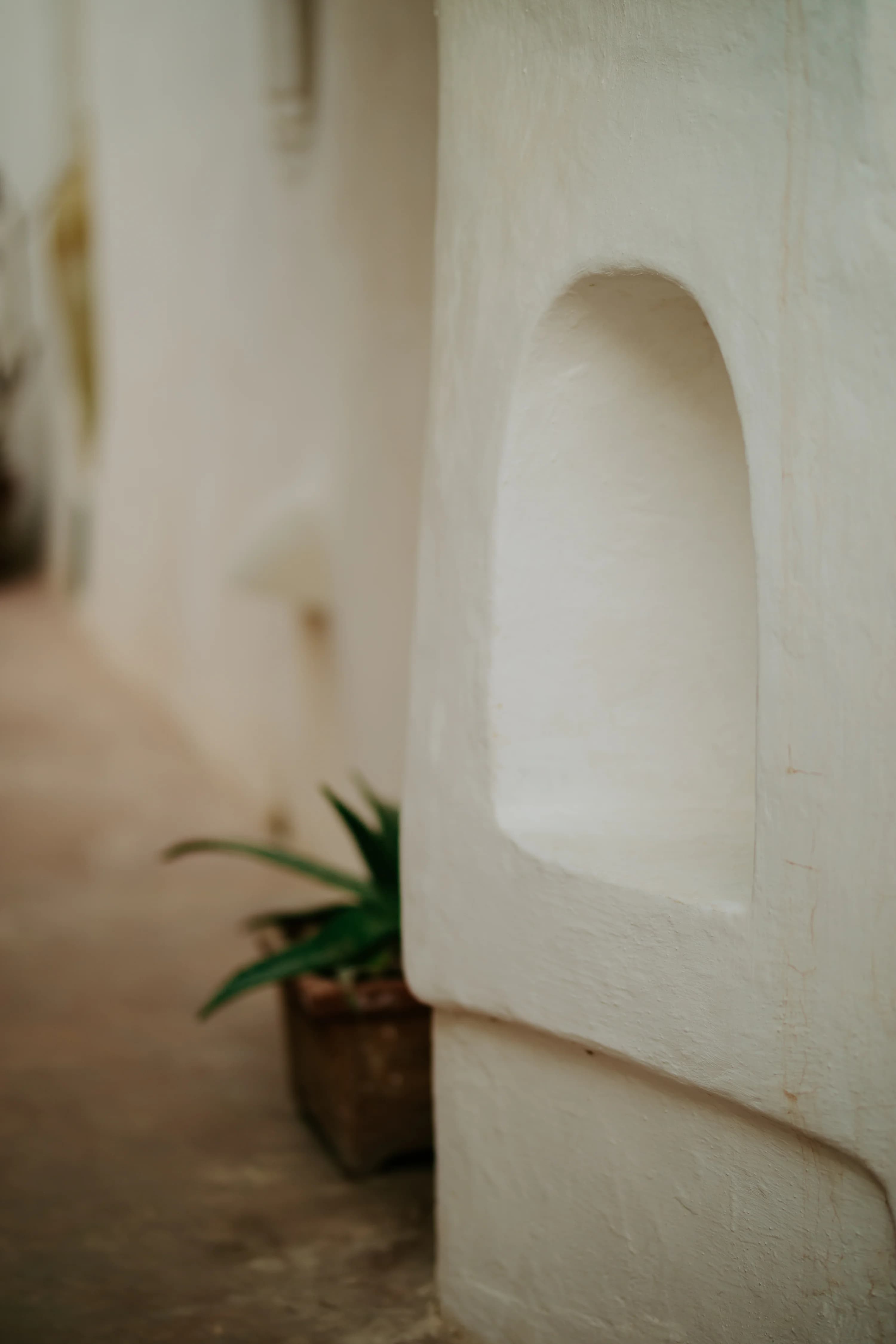 Architecture Djerbienne 